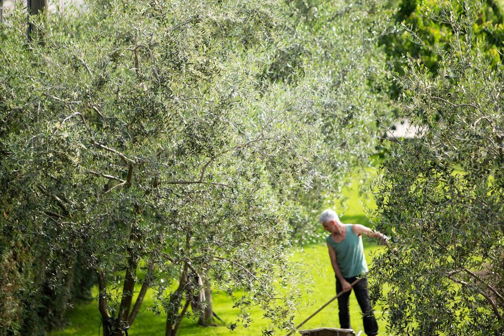 Agriturismo Vin E Amor Dro Kültér fotó